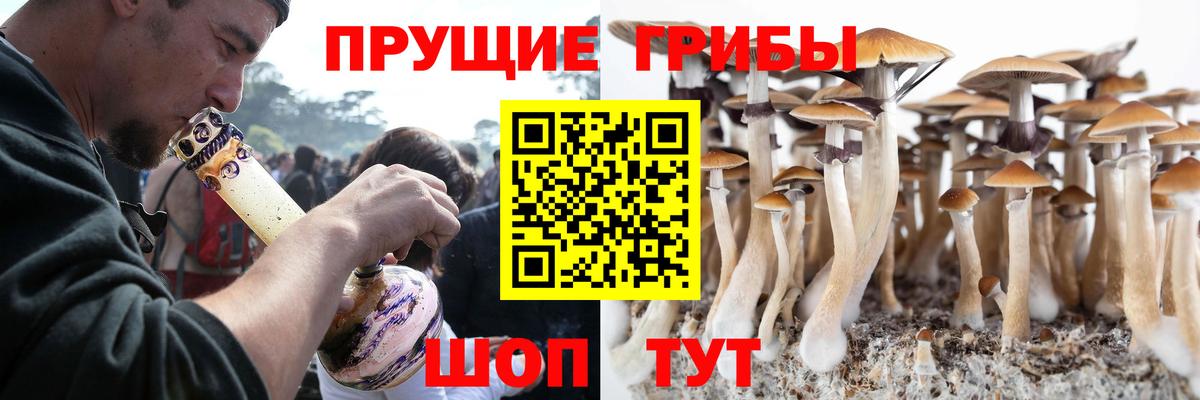 Псилоцибиновые грибы мухоморы Кизилюрт